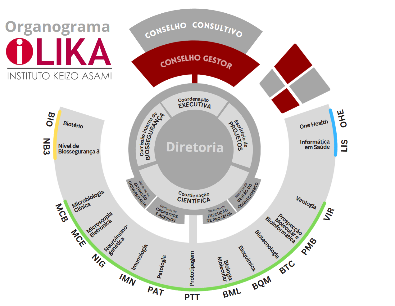 Organograma iLIKA 2025